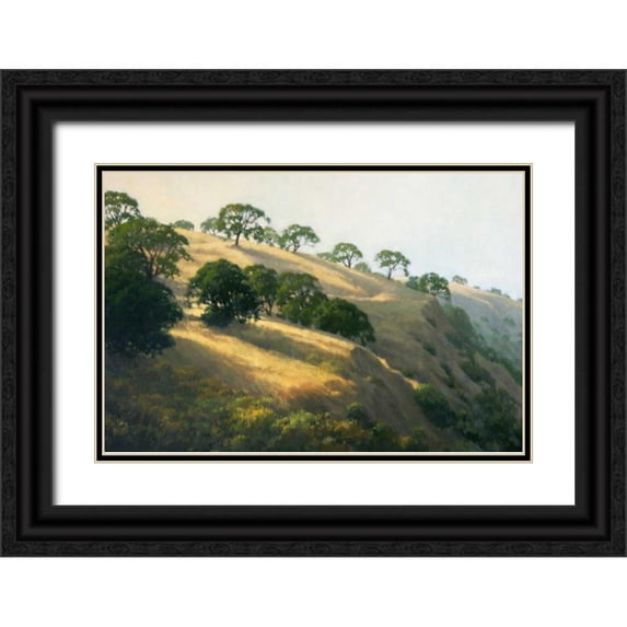 Oleary, Kathy 32x23 Black Ornate Wood Framed with Double Matting Museum Art Print Titled - Afternoon Shadows