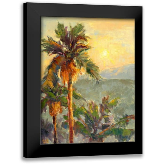 Oleson, Nanette 12x14 Black Modern Framed Museum Art Print Titled - Desert Repose VII