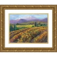 thumbnail image 1 of Oleson, Nanette 18x15 Gold Ornate Wood Framed with Double Matting Museum Art Print Titled - Vineyard Tapestry I, 1 of 4