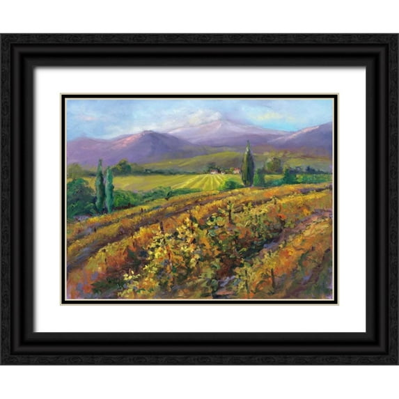 Oleson, Nanette 32x25 Black Ornate Wood Framed with Double Matting Museum Art Print Titled - Vineyard Tapestry I