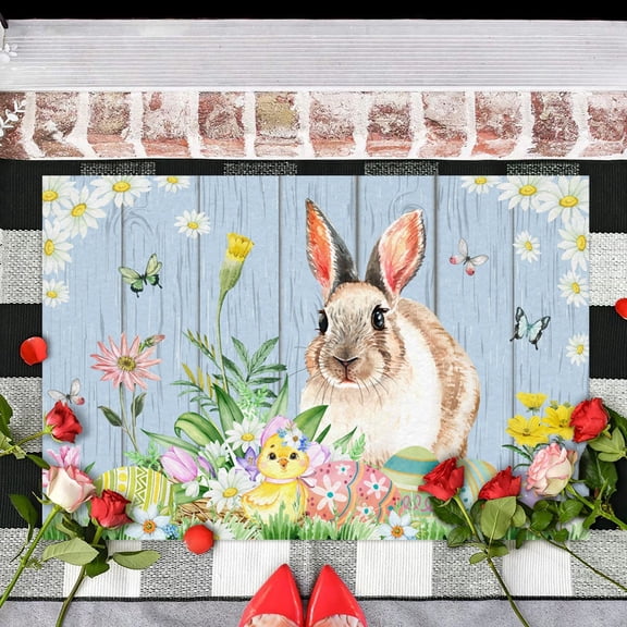 Oliegs Stocking New Hot Easter Floor Mats Home Entry Mats Holiday Decorative Door Mats Carpet 5 White Elephant
