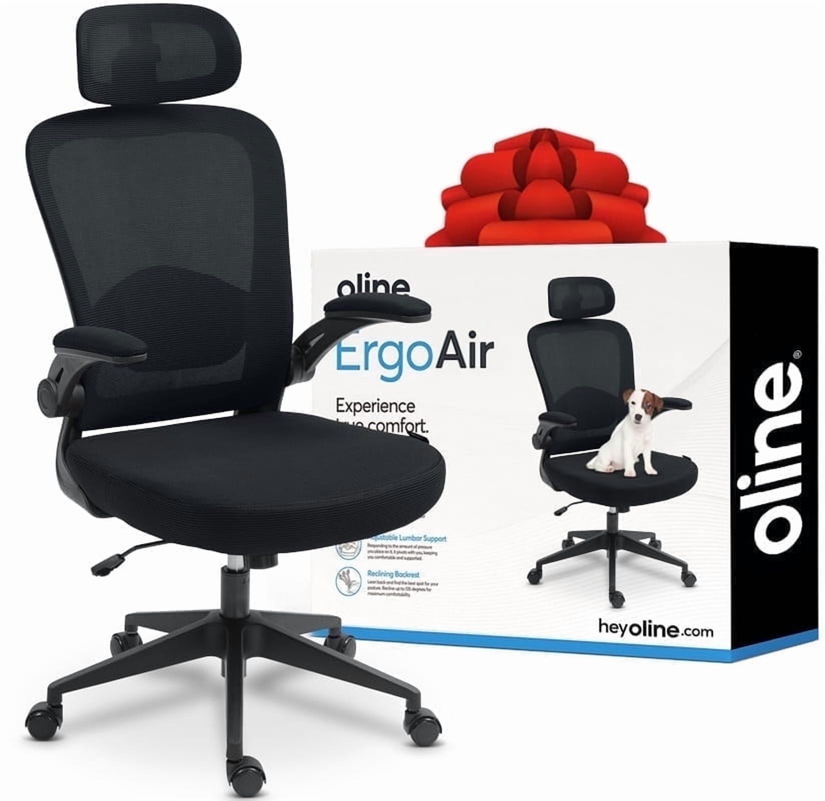 Oline ErgoAir Ergonomic Office Chair – Adjustable Lumbar Support, Flip-Up Armrests, Mesh Computer Desk Chair, Swivel Rolling Executive Gaming Chair for Home & Office (Black)