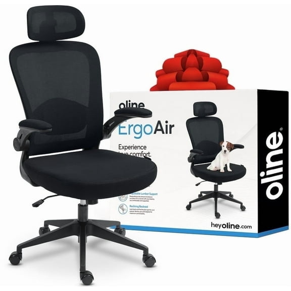 Oline ErgoAir Ergonomic Office Chair – Adjustable Lumbar Support, Flip-Up Armrests, Mesh Computer Desk Chair, Swivel Rolling Executive Gaming Chair for Home & Office (Black)