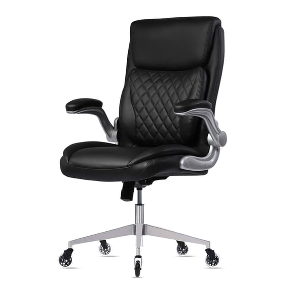 Oline Ergonomic Adjustable Office Desk Chair with Lumbar Support, Black