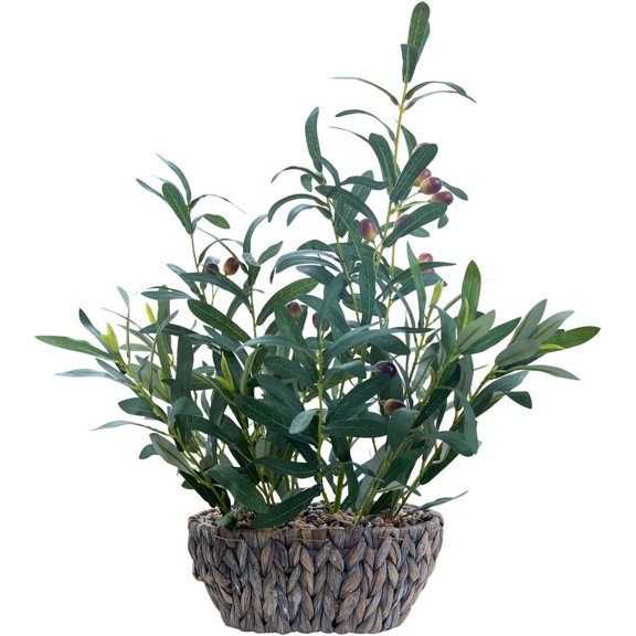 Olive 21'' Tall Artificial Olive Branches with Lifelike Leaves in Oval Rattan Woven Planter Faux Rustic Tabletop Greenery for Living Room Kitchen Bedroom Office Decor