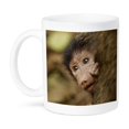 thumbnail image 1 of Olive Baboon Baby And Mother, Kenya, Africa., 11oz Mug, 1 of 7