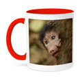 thumbnail image 1 of Olive Baboon Baby And Mother, Kenya, Africa., 15oz Two-Tone Red Mug, 1 of 7