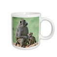 thumbnail image 1 of 3drose, Olive Baboon, Baby, Lake Nakuru National Park, Kenya-af21 Aje0241 - Adam Jones, 11oz Mug, 1 of 6