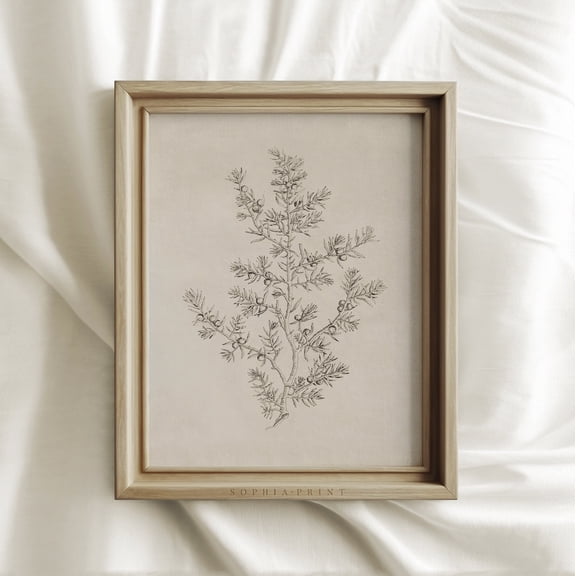Olive Branch Etching Print Vintage Neutral Sketch Wall Art Beige Botanical Drawing Mailed Arts #6