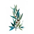 thumbnail image 1 of Olive Branch I Poster Print by Asia Jensen (24 x 36), 1 of 2