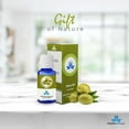 thumbnail image 1 of Incensesticks Olive Carrier Oil, 100 ml, 1 of 5
