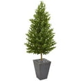 thumbnail image 1 of Olive Cone Topiary Artificial Tree in Slate Planter - 67 in., 1 of 1