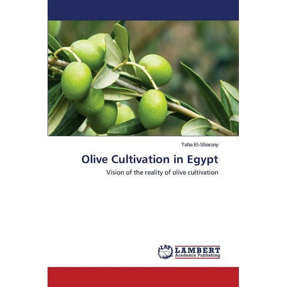 Olive Cultivation in Egypt (Paperback)