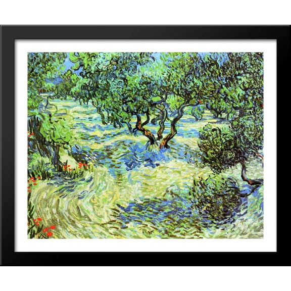 Olive Grove - Bright Blue Sky 36x28 Large Black Wood Framed Print Art by Vincent van Gogh