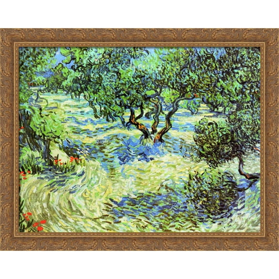 Olive Grove - Bright Blue Sky 36x28 Large Gold Ornate Wood Framed Canvas Art by Vincent van Gogh