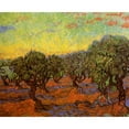 thumbnail image 1 of Olive Grove Orange Sky Poster Print (18 x 24), 1 of 3