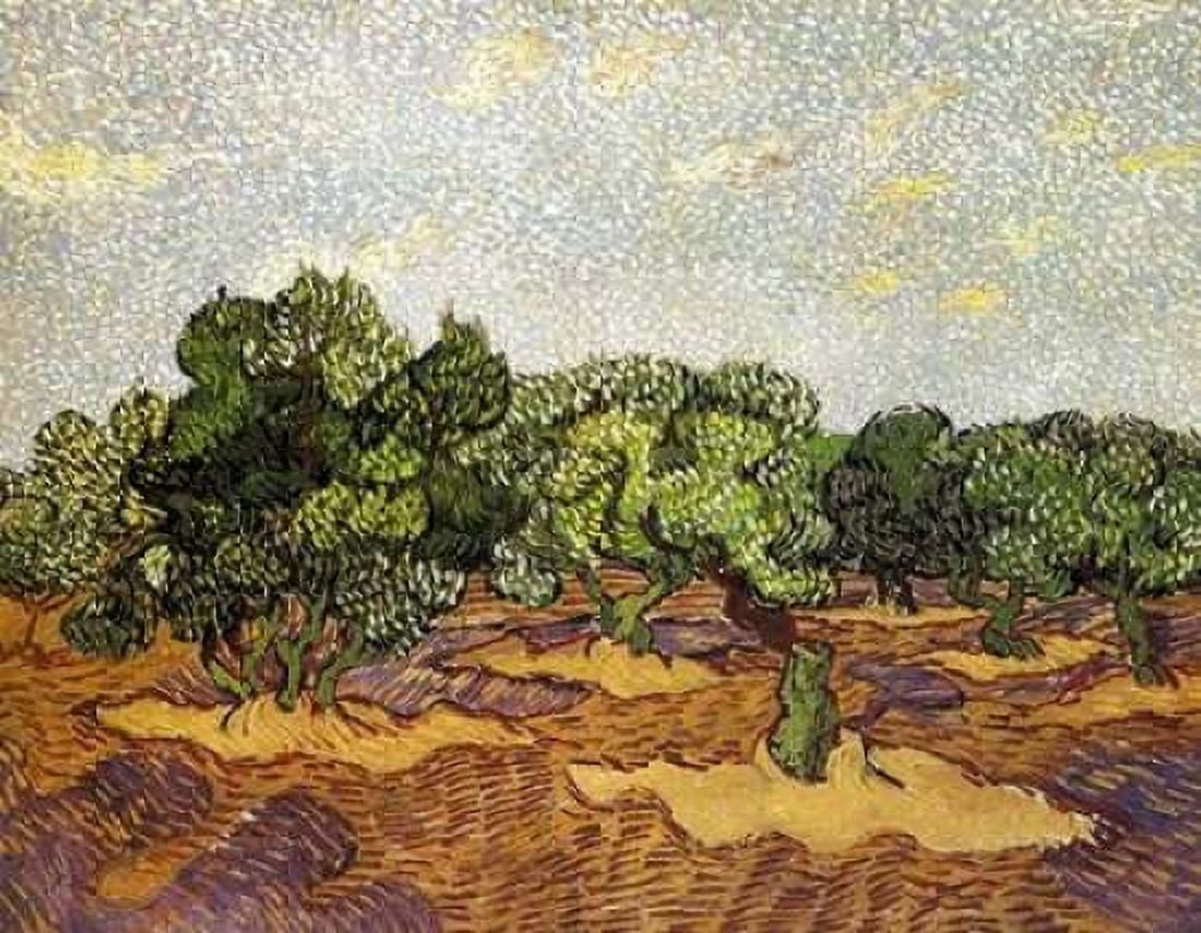 Olive Grove Pale Blue Sky Canvas Art - Vincent Van Gogh (18 x 24)