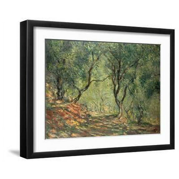 Olive Grove in the Moreno Garden, 1884, Scenic Framed Art Print Wall Art by Claude Monet Sold by Art.Com