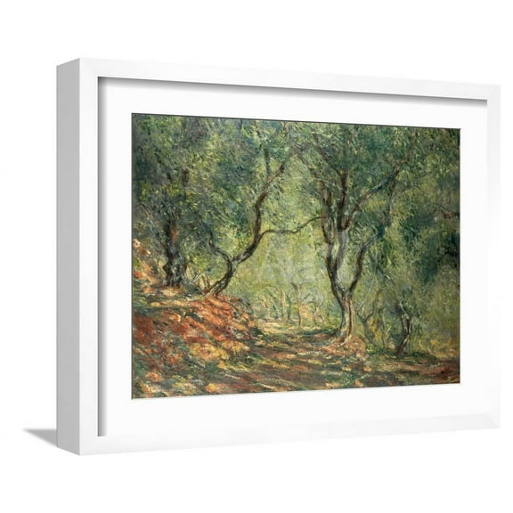 Olive Grove in the Moreno Garden, 1884, Scenic Framed Art Print Wall Art by Claude Monet Sold by Art.Com