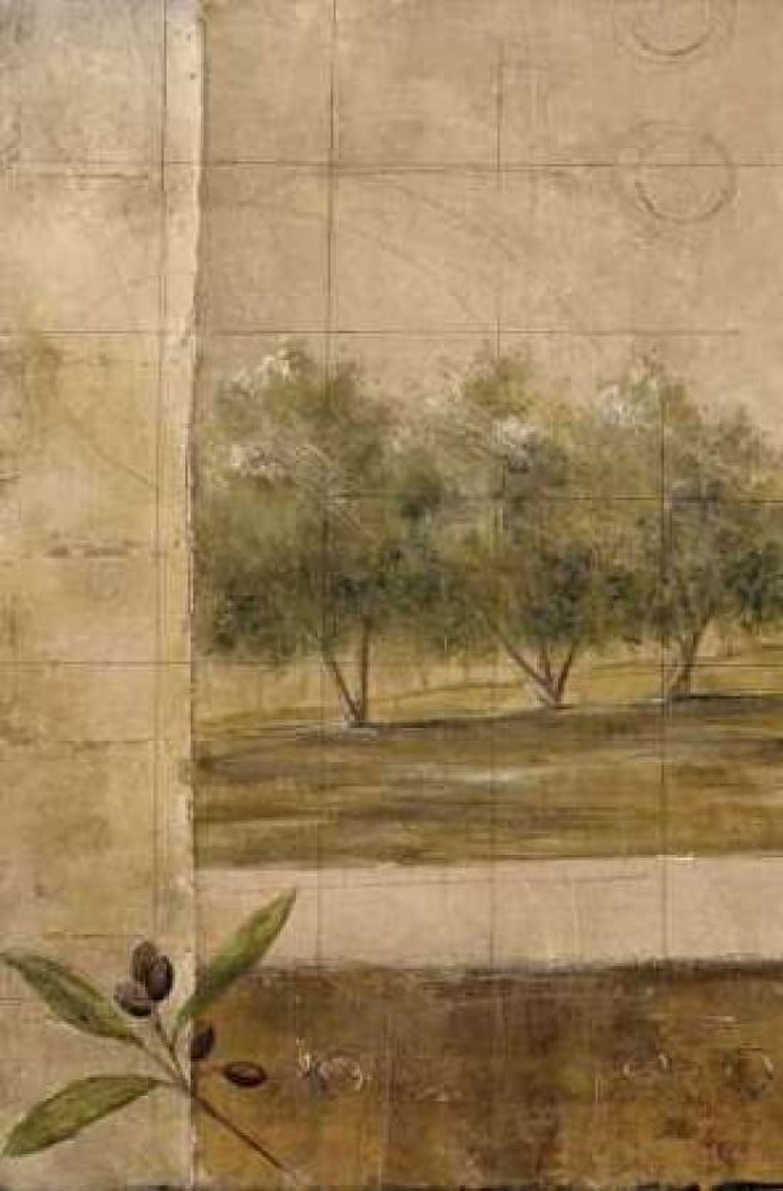 Olive Groves I Canvas Art - Cheryl Martin (24 x 36)