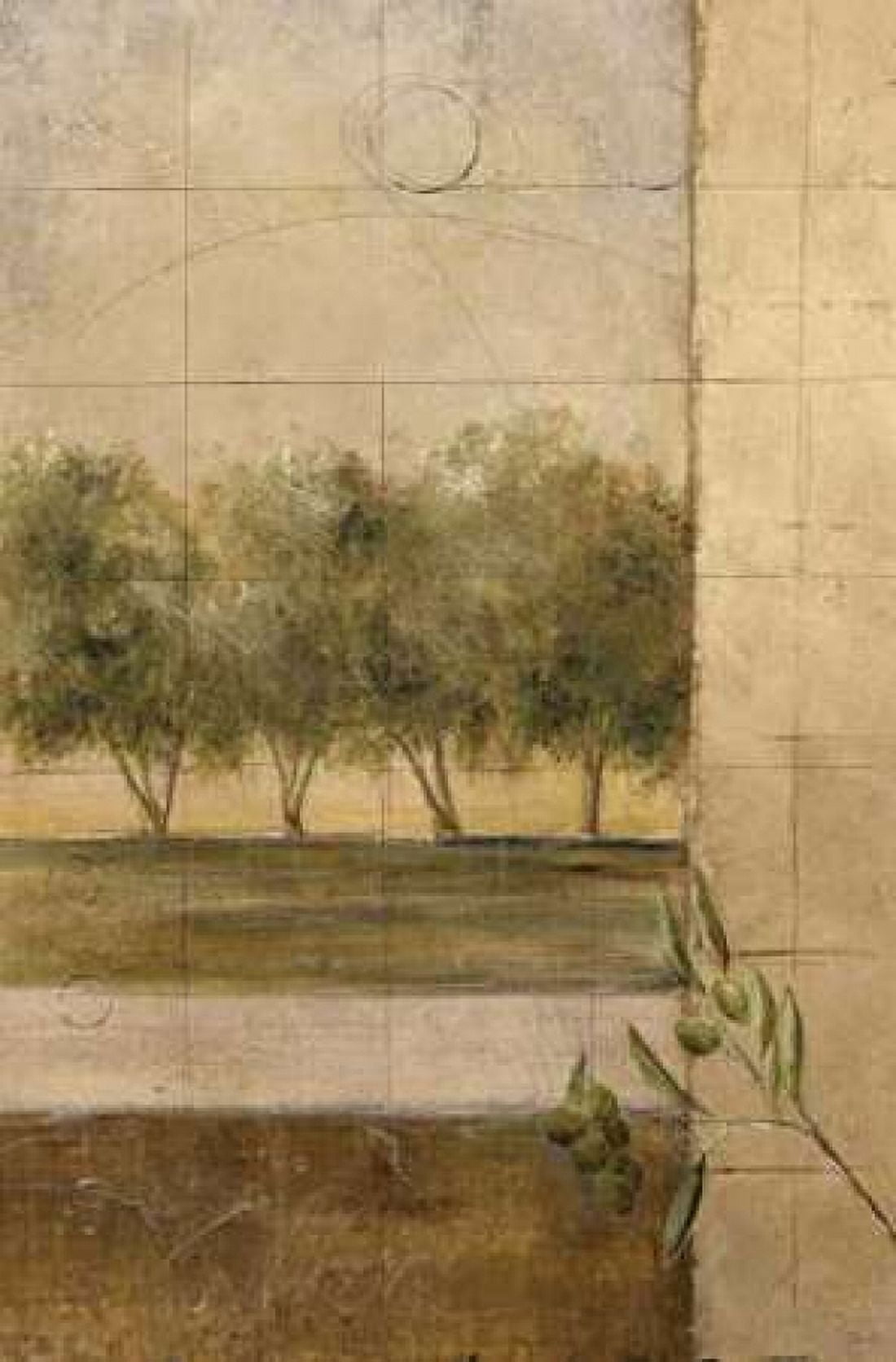 Olive Groves II Canvas Art - Cheryl Martin (24 x 36)