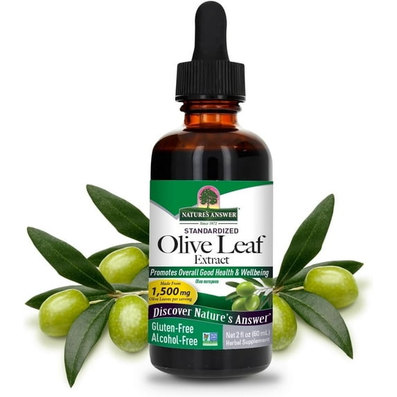 Nature’s Answer Olive Leaf Liquid Herbal Extract, Alcohol-Free, Non-GMO, Vegan, Gluten Free, 2 fl oz