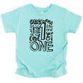 thumbnail image 1 of Olive Loves Apple Charming 1st Birthday Terms T-Shirts for Baby Girls and Boys First Birthday Outfit Chill Shirt 18 Months, 1 of 2