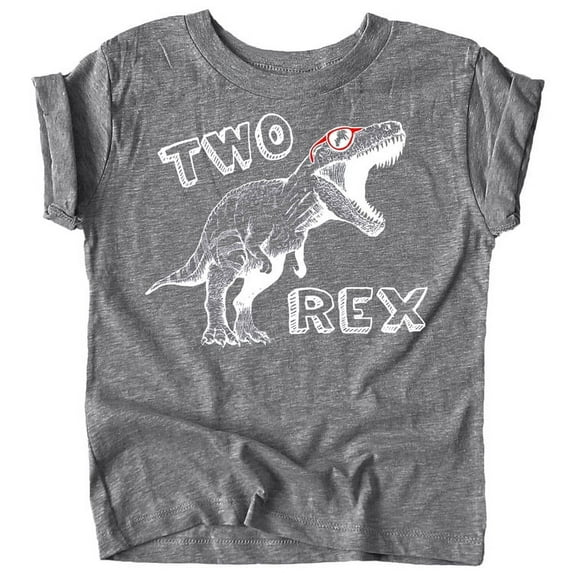 Olive Loves Apple Two Rex Dinosaur 2nd Birthday T-Shirts for Baby Girls and Boys Second Birthday Outfit Granite Heather Shirt 2T
