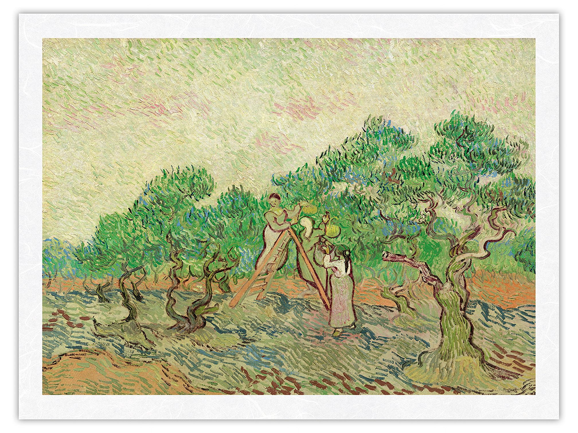 The Olive Orchard - Saint-Rémy-de-Provence France - From an Original ...
