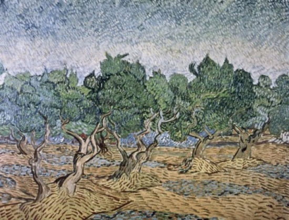 Olive Orchard Violet Soil Vincent van Gogh (1853-1890Dutch) Van Gogh Museum Amsterdam Netherlands Canvas Art - Vincent van Gogh (18 x 24)
