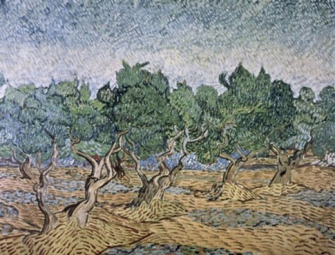 Olive Orchard Violet Soil Vincent van Gogh (1853-1890Dutch) Van Gogh Museum Amsterdam Netherlands Canvas Art - Vincent van Gogh (24 x 36)