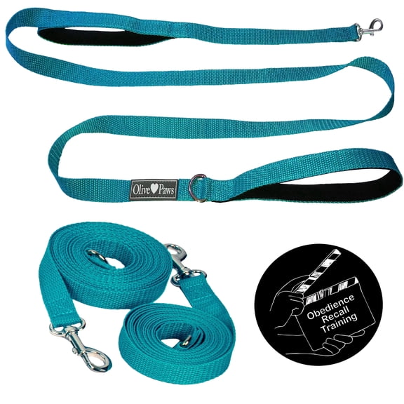 Olive Paws Modular Dog Leash Set - 6ft Sky Blue Walking Leash + 9ft & 15ft Extensions Combine to 15ft, 21ft, 30ft Long Lead, Padded Two-Handle Design, Lightweight