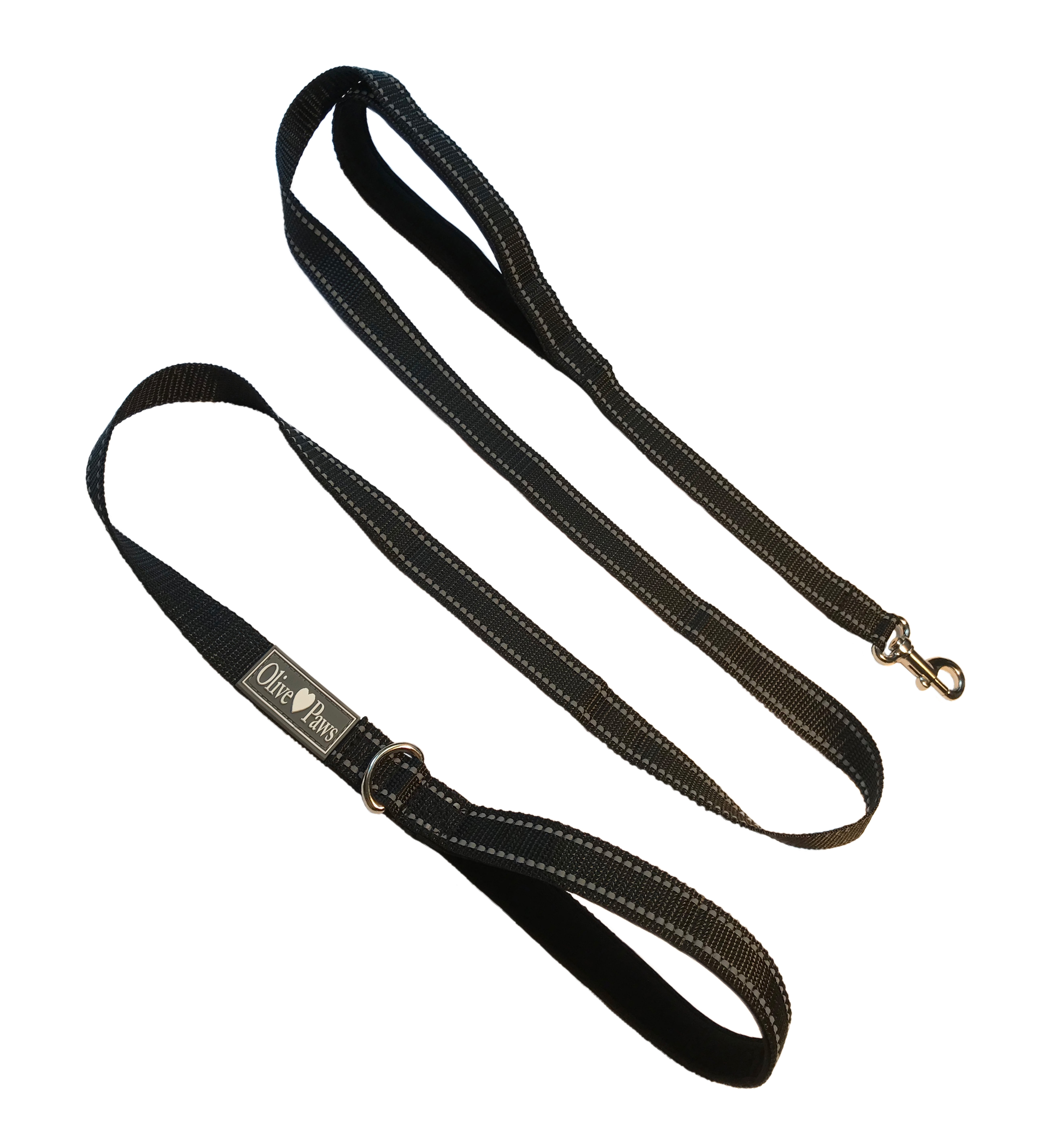 Olive Paws Dog Leashes for Medium Dogs, 6ft Dog Leash for Small Dogs