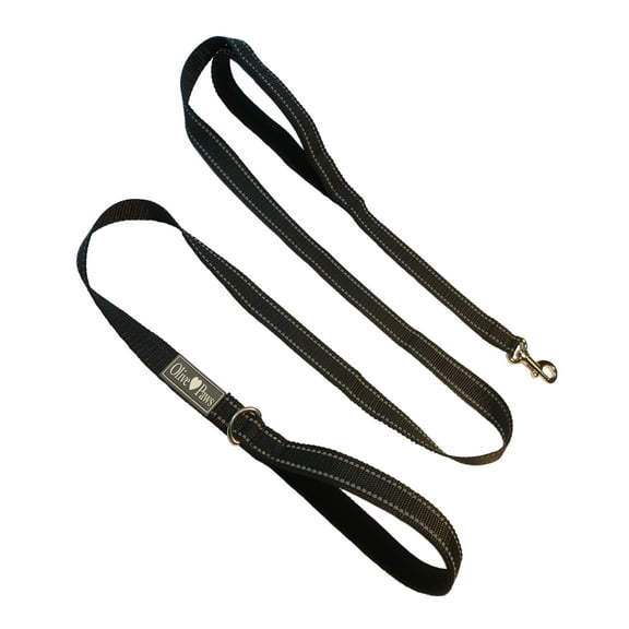 Olive Paws Dog Leashes for Medium Dogs, 6ft Dog Leash for Small Dogs. Padded Double Handle Dog Leash for Training, Walking and Play. Traffic Handle, Reflective (Black)