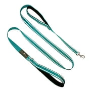 Olive Paws Dog Leashes for Medium Dogs, 6ft Dog Leash for Small Dogs. Leash for Training, Walking and Play. Padded Traffic Handle, Reflective (Sky Blue)