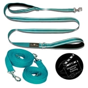 Olive Paws Long Dog Training Leash Set with Extensions - 6ft Reflective Sky Blue Leash + 15ft, 21ft, 30ft Long Lead, Padded Handles, Free Trainer Video