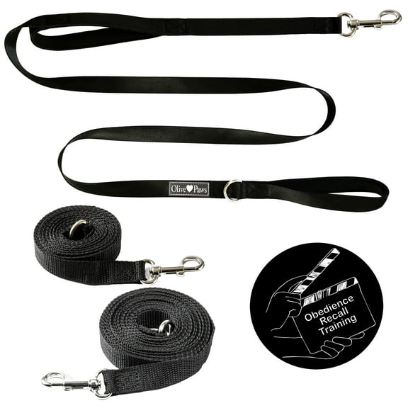 Olive Paws Long Dog Leash for Dog Training and Video. Dog Leashes 6ft Nylon, 15ft, 21ft, 30ft Leash Professional Trainer Stream, Download/QR Code
