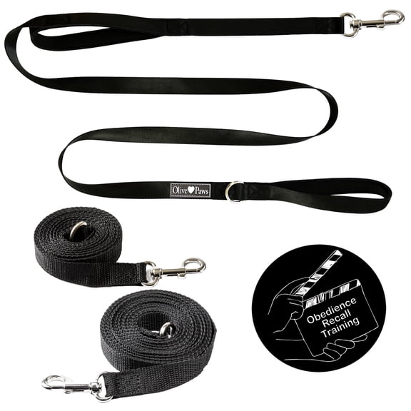 Olive Paws Long Dog Training Leash Set with Extensions - 6ft Nylon Black Leash + 15ft, 21ft, 30ft Long Lead, Padded Handles, Free Trainer Video