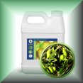 thumbnail image 1 of Olive Squalane Oil, 1 of 1