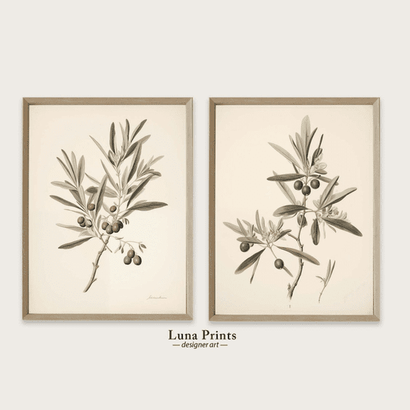 Olive Stems Botanical Vintage Sage Green Poster Set 2 Prints Set 2 , Poster Only