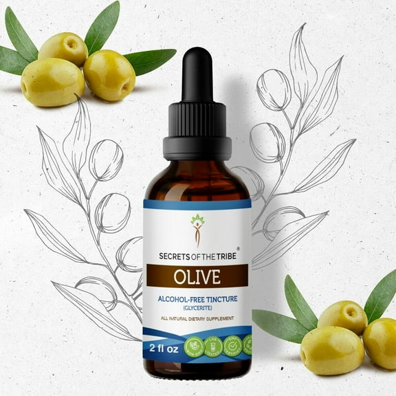 Secrets Of The Tribe Olive Tincture Dietary Supplement, Natural Herbal Extract for Heart Health Support, Olive (Olea europaea) Dried Leaf, Alcohol-Free Extract, Drops 2 oz