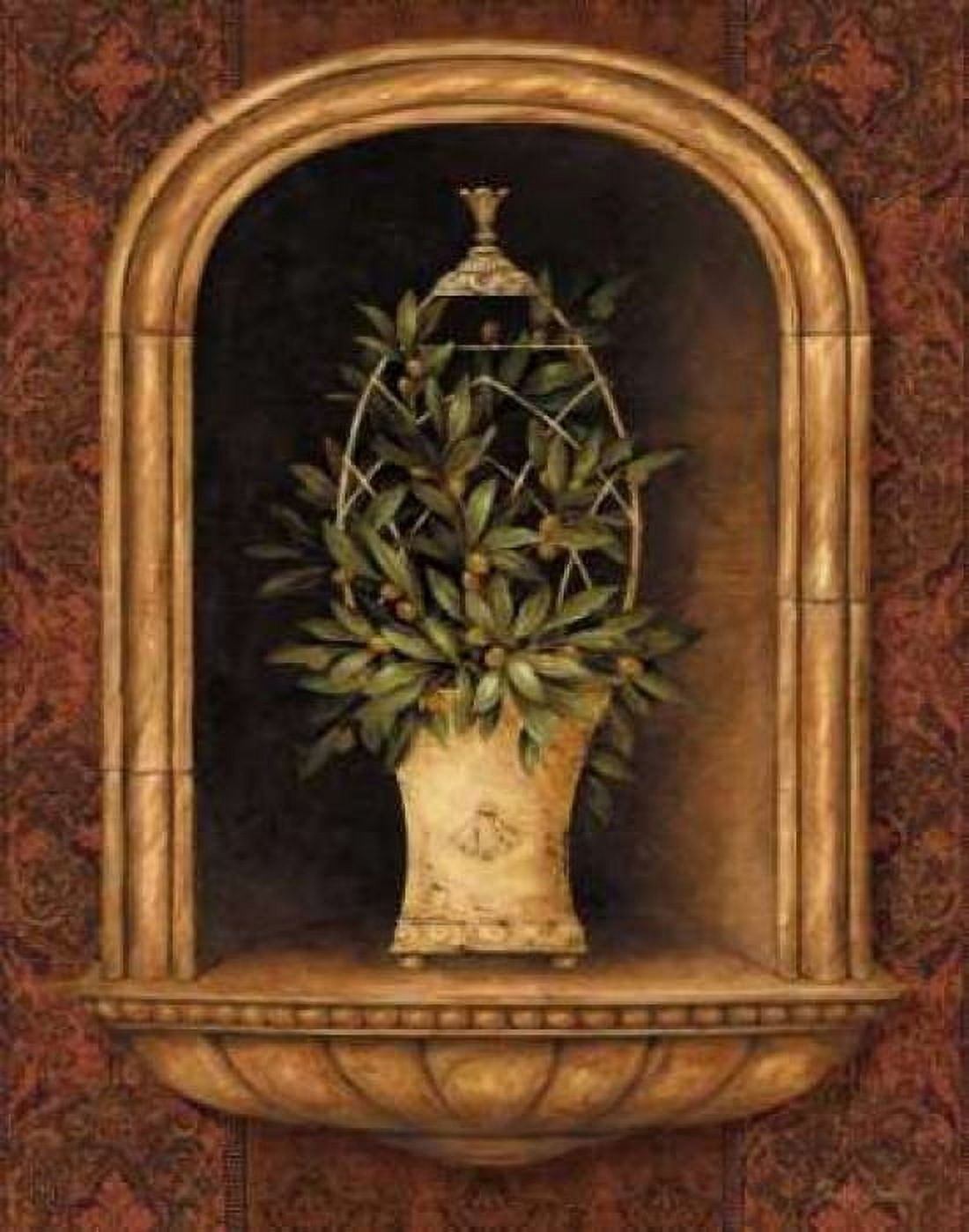 Olive Topiary Niches I Canvas Art - Pamela Gladding (22 x 28)
