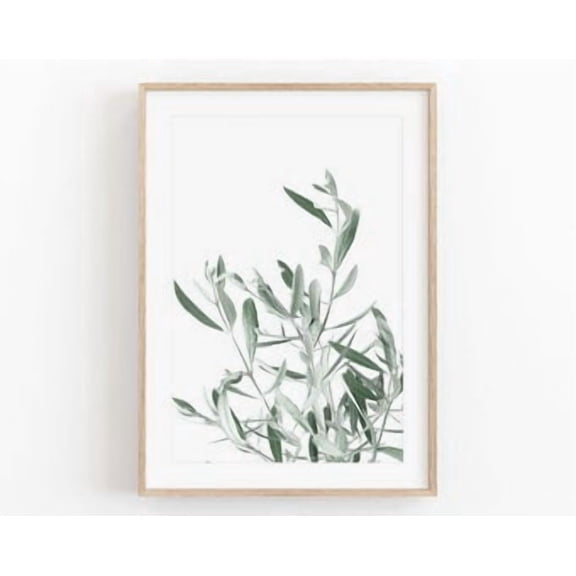 Olive Tree Botanical Poster Minimalist Plant Poster , Poster Print Only