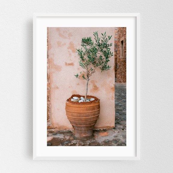 Olive Tree Greece - Monemvasia Greece Photography Botanical Mediterranean Rustic Garden Minimalist White Framed Wall Art Print 5 x 7 inches