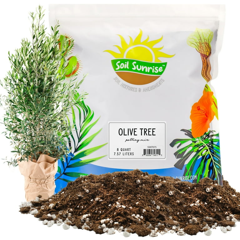 Olea - Custom Mix Olea - Custom Mix