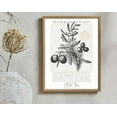 thumbnail image 1 of Olive Tree Print, Olive Branch, Kitchen Wall Art, Dining Room Wall Decor, Rustic Wall Art, Mediterranean Decor, Greek Olive, Botanical Print Wall Art, Modern Wall Decor, 24x36 UNFRAMED, 1 of 2