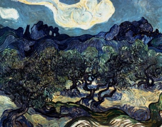Olive Trees With the Alpilles in the Background Saint-Remy 1889 Vincent van Gogh (1853-1890 Dutch) Oil on canvas Collection of Mrs John Hay Whitney New York USA Canvas Art - (18 x 24)