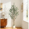 thumbnail image 1 of Olive Trees Artificial Indoor, 5FT Tall Faux Olive Tree with White Planter & Green Fake Moss, Artificial Plants with Natural Wood Trunk & Lifelike Fruits for Home Office Decor, 1 of 9