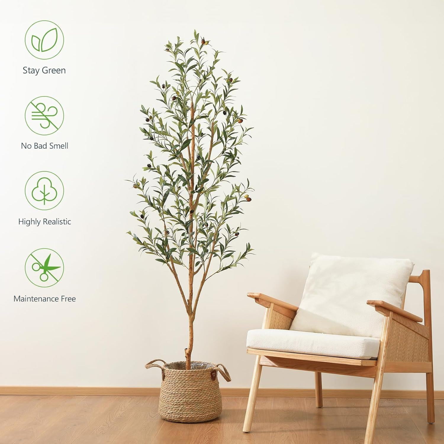 Olive Trees Artificial Indoor, 6FT Tall Faux Olive Tree with White Tall ...