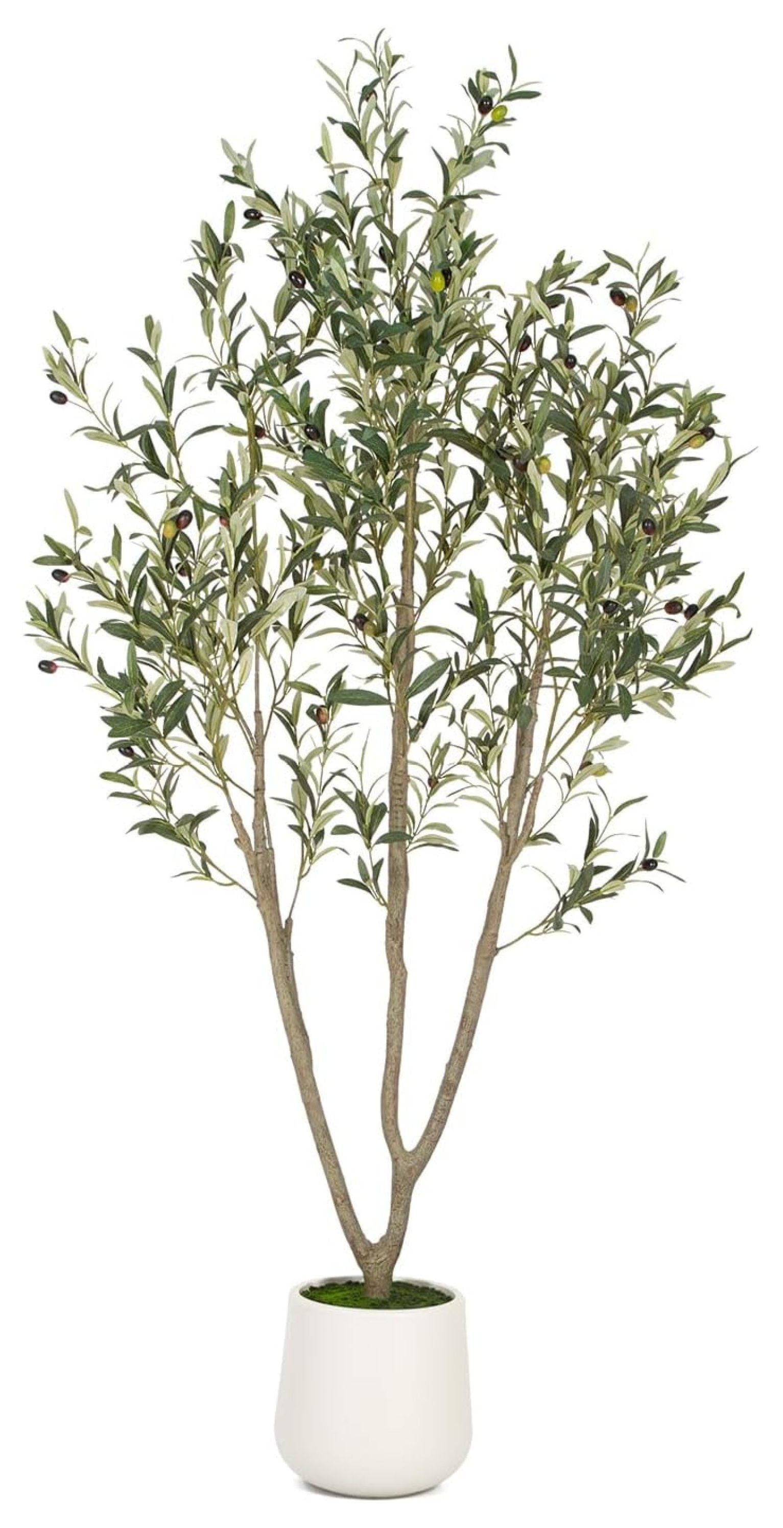 6ft Faux Olive Tree with White Plastic Planter